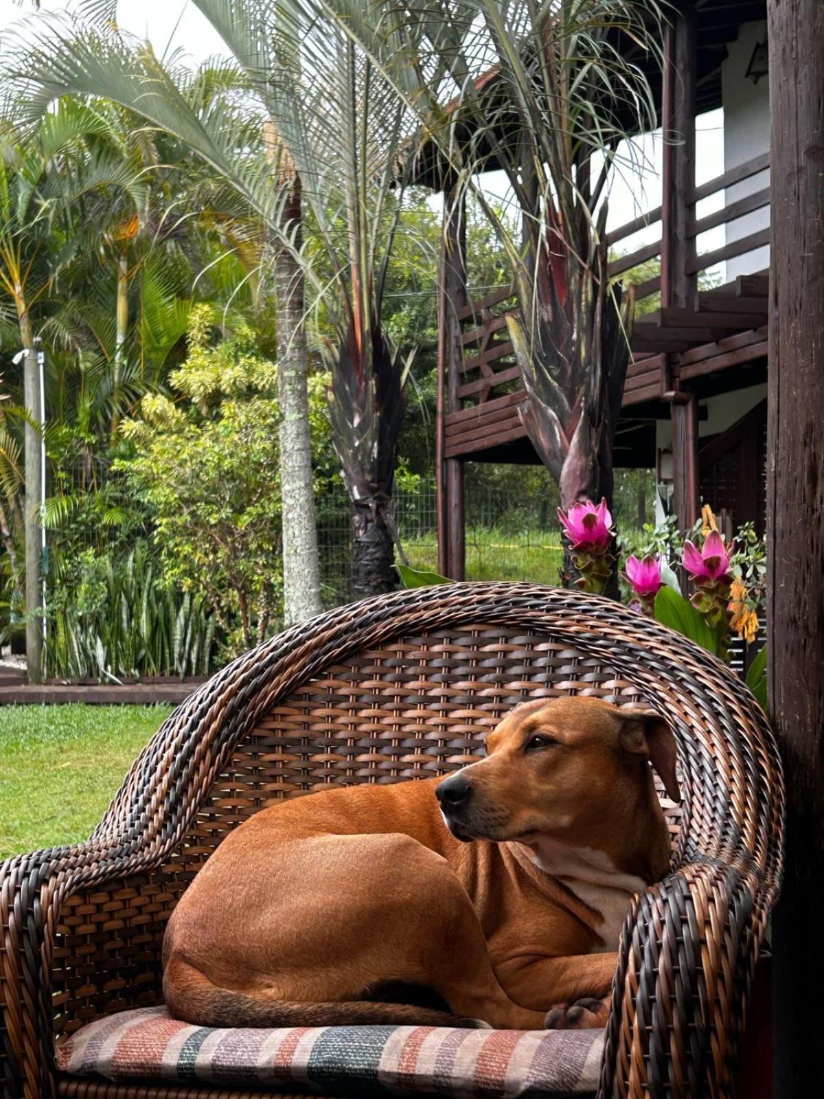Studios Malakoopa - Praia Do Rosa Ngoại thất bức ảnh